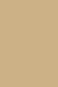 RAL 1001 Beige