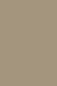 RAL 1019 Graubeige 