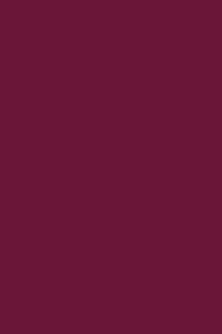 RAL 4004 Bordeauxviolett 