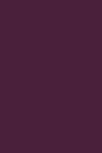 RAL 4007 Purpurviolett 