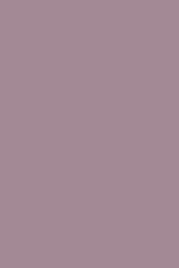 RAL 4009 Pastellviolett 